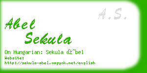 abel sekula business card